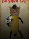 Banana Cat