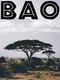 Bao