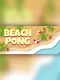 Beach Pong