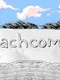 Beachcomber