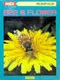 Bee & Flower