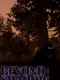 Beyond the Shadow