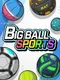 Big Ball Sports