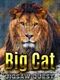 Big Cat Jigsaw Quest