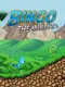 Bingo the Multiva
