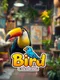 Bird Coloring