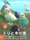 Birds and Nuts