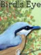 Bird's Eye