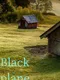 Black plane