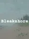 Bleakshore