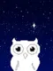 Block Owl