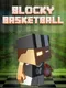 Blocky Basketball