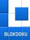 Blokdoku