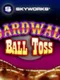 Boardwalk Ball Toss