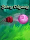 Boing Odyssey