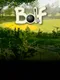 Bolf