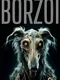Borzoi