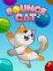 Bounce Cat