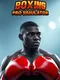 Boxing Pro Simulator