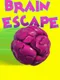 Brain Escape