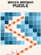 Bricks Breaker Puzzle Classic