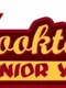 Brooktown High: Senior Year