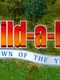 Build-A-Lot 2: Town of the Year