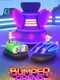 Bumper Arena