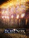 Burst Noir: Fireworks Simulator