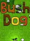 Bush Dog