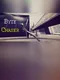 Byte Chaser