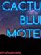 Cactus Blue Motel