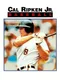 Cal Ripken Jr. Baseball