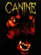 Canine