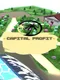 Capital Profit