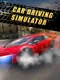 Car Driving Simulator