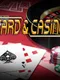 Card&Casino