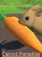 Carrot Paradise