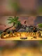 Castaway VR