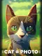 Cat a Photo