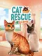Cat Rescue Story