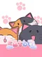 Catbo