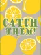 Catch them!