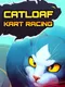 Catloaf Kart Racing