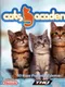 Cats Academy