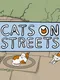 Cats on Streets