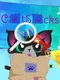 CatSacks
