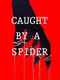 Caught by a Spider