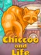 Chiccoo and Life