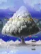 Chronicles of Etia: A Yuletide Story